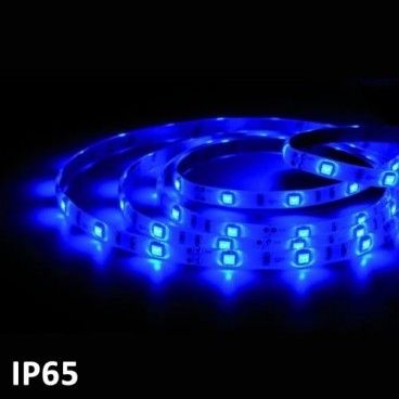Led streifen 5m BLAU SMD5050 (7.2 w) IP65 24V GSC 1504594