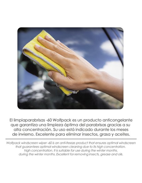 Limpiacristales Parabrisas Coche / Auto 250 ml. Para 5 Litros