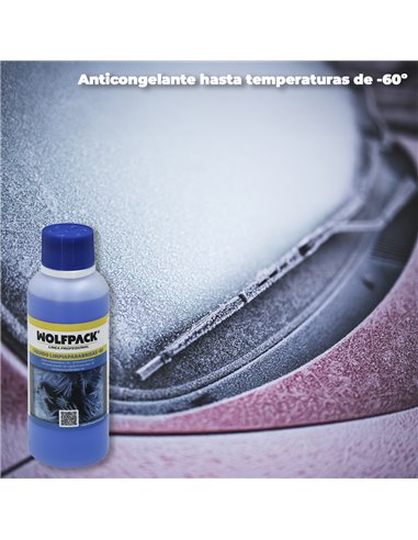 Limpiacristales Parabrisas Coche / Auto 250 ml. Para 5 Litros