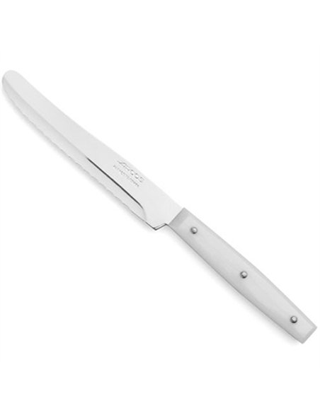 CAJA 12 CUCHILLOS POSTRE 110mm NYLON 370600 ARCOS