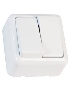 INTERRUPTOR DOBLE SOBREPONER 3821 21182 AMIG 2