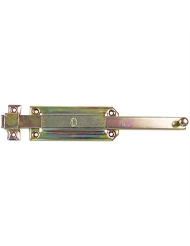 CAJA 10 PASADOR BICROMATADO 250mm MOD. 300 648 AMIG
