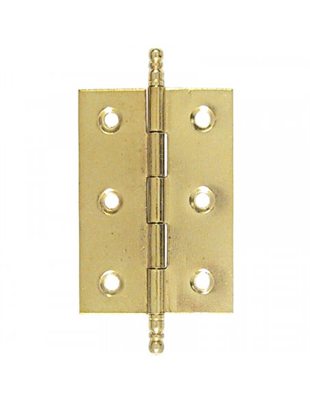 CAJA 24 BISAGRAS PLANA LATONADA 60x40mm 207 LIM