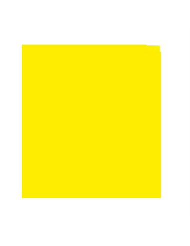 ESMALTE AMARILLO REAL 250ml 529 TITANLUX