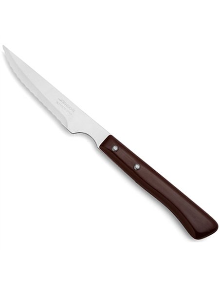 CUCHILLO CHULETERO 110mm POLIPROPILENO 804000 ARCOS