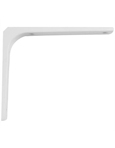 CAJA 100 ANGULOS BLANCO 2-30mm1665 AMIG