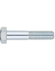 Caja 100 tornillo 12x100mm zin din 931 2