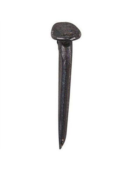 BLISTER 30 TACHUELAS CELOSIA NEGRA 6x10mm