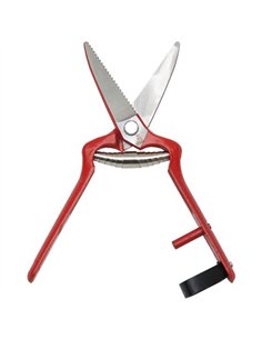 Tijera vendimia recta 19cm 1027 pajarita 2