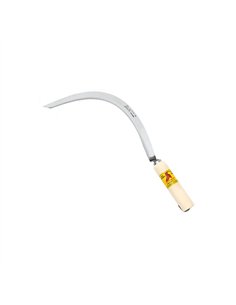 Corvilla mango comun murcia 22mm e/15 la pajarita