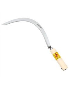 CORVILLA MANGO COMUN MURCIA 22mm E/15 LA PAJARITA 2