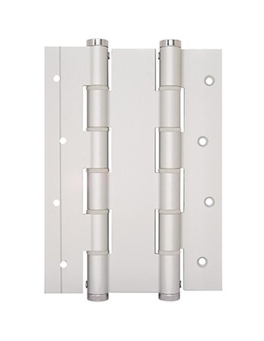Bisagra doble accion 591301 plata justor