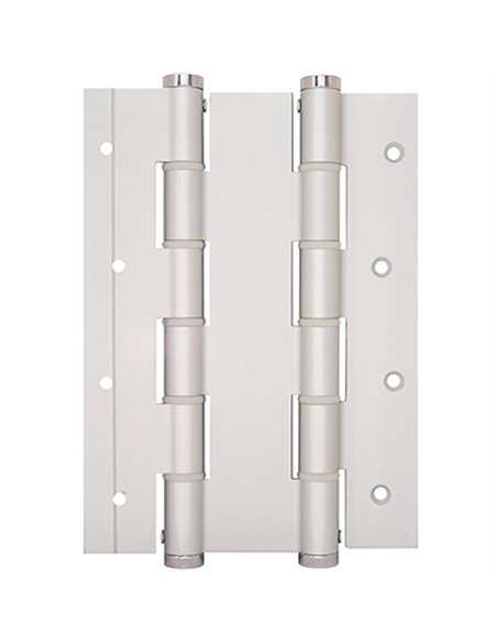 Bisagra doble accion 591301 plata justor