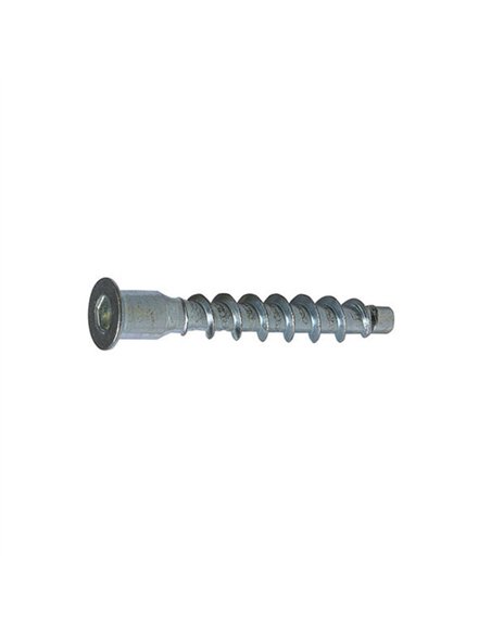 CAJA 100 TORNILLO ENSAMBLAR ZINCADO 5x50mm