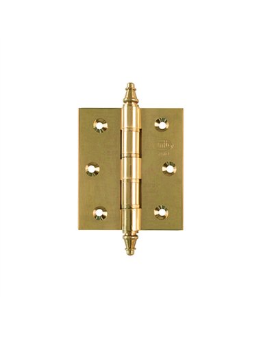 CAJA 6 BISAGRAS LATON PULIDO 100x70mm MOD.1008 3030 AMIG