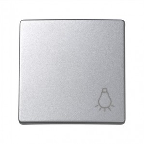 Tecla pulsador bombilla Simon 73 Loft 73018-60