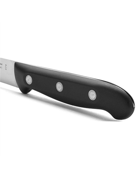 CUCHILLO JAMONERO 24cm MAITRE 151800/151200 ARCOS