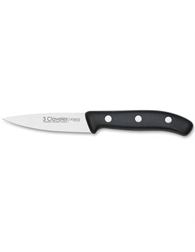 CUCHILLO VERDURAS 9cm M.POLIPROPILENO 0950 3 CLAVELES