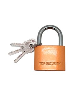 CANDADO DE ARCO NORMAL BASIC CN17,LATÓN, 40 mm