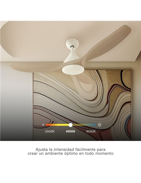Ventilador techo Luma con luz CCT regulable y mando Ø117 3 aspas DC Blanco