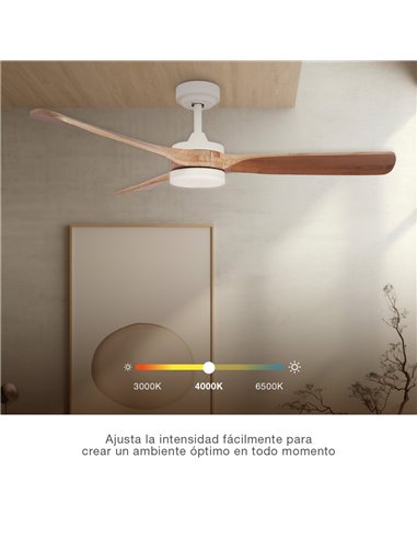 Ventilador techo Misstreta con luz CCT regulable y mando Ø132 3 aspas DC Blanco