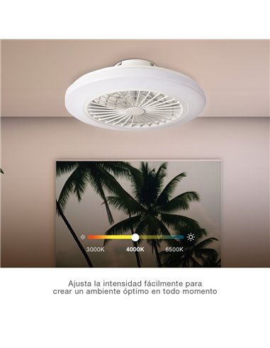 Ventilador techo Box Fan Talsano con luz CCT regulable y mando Ø50 8 aspas DC Blanco