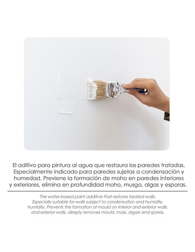 Antimoho Pared Aditivo Para Pintura 250 ml