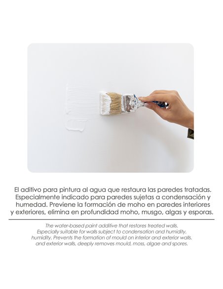 Antimoho Pared Aditivo Para Pintura 250 ml
