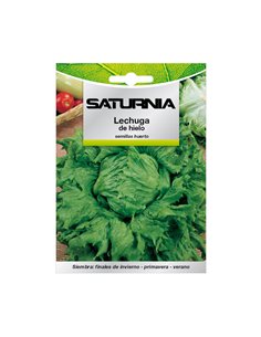 Semillas Lechuga Reina Del Hielo (7 gramos) Semillas Verduras, Horticultura, Horticola, Semillas Huerto.