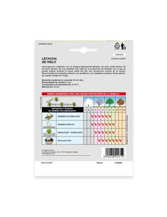 Semillas Lechuga Reina Del Hielo (7 gramos) Semillas Verduras, Horticultura, Horticola, Semillas Huerto. 2