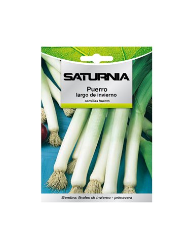 Semillas Puerro Largo De Invierno (3 gramos) Semillas Verduras, Horticultura, Horticola, Semillas Huerto.