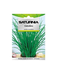 Semillas Aromaticas Cebollino (1 gramo) Horticultura, Horticola, Semillas Huerto.