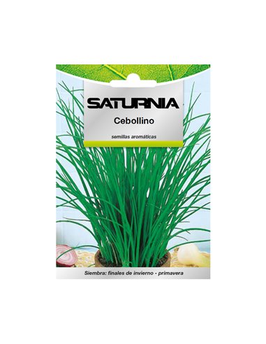Semillas Aromaticas Cebollino (1 gramo) Horticultura, Horticola, Semillas Huerto.