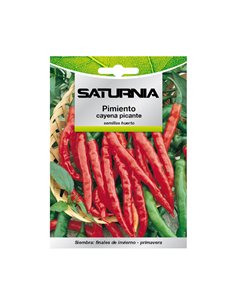 Semillas Pimiento Cayena Picante (1.5 gramos) Semillas Verduras, Horticultura, Horticola, Semillas Huerto.