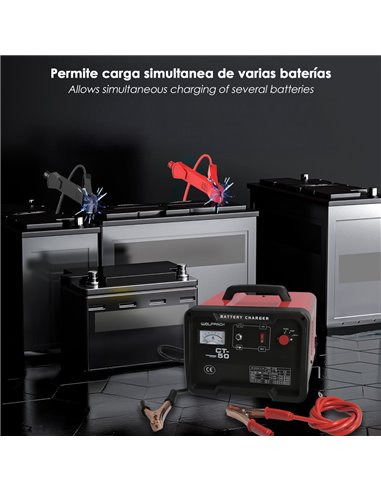 Carga Baterias 12/24V 30-350Ah Con Arrancador