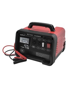 Carga Baterias 12/24V 10-100Ah