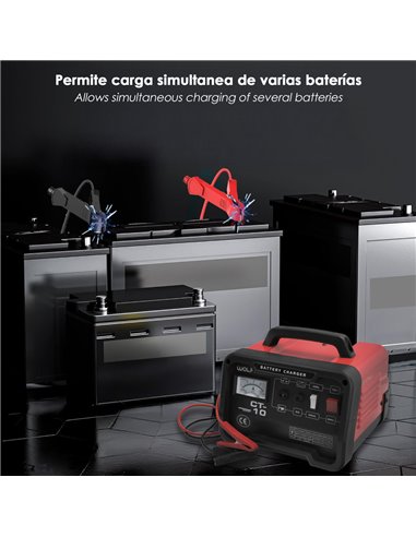 Carga Baterias 12/24V 10-100Ah