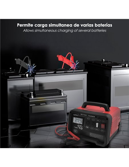 Carga Baterias 12/24V 10-100Ah