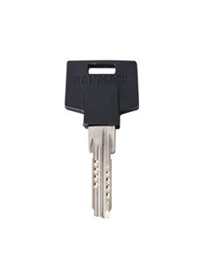 Cilindro de Seguridad Handlock R15 35x35 Níquel 2