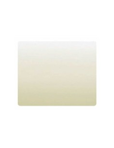 Tecla para interruptor, conmutador o cruzamiento BEIGE BJC IRIS 18705 2