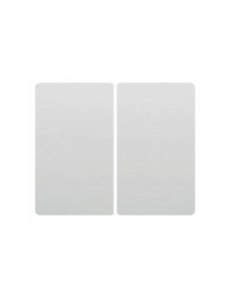 Double key switch or switch WHITE BJC IRIS 18709