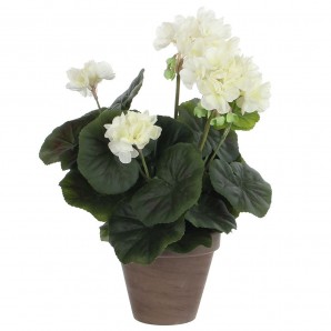 Geranio crema pvc vaso EDM 83167