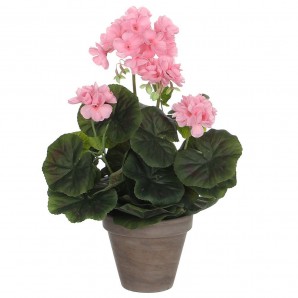 Géranium rose en pvc pot gris EDM 83169
