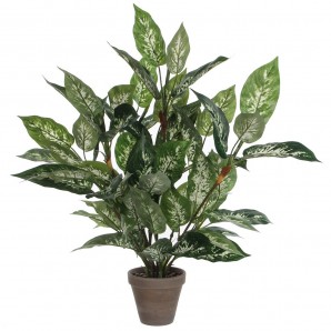 Dieffenbachia pvc potted gray EDM 83176