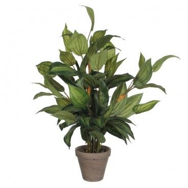 Hosta del pvc di verde manceta grigio EDM 83177