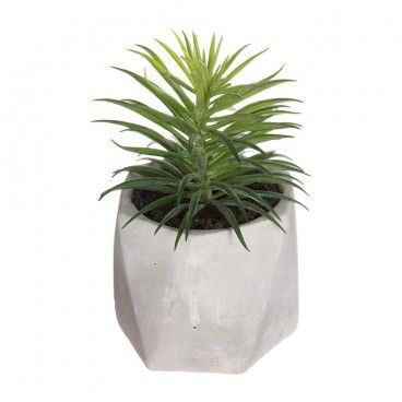 Planta decorativa con maceta 7x14cm modelos suritdos EDM 83208