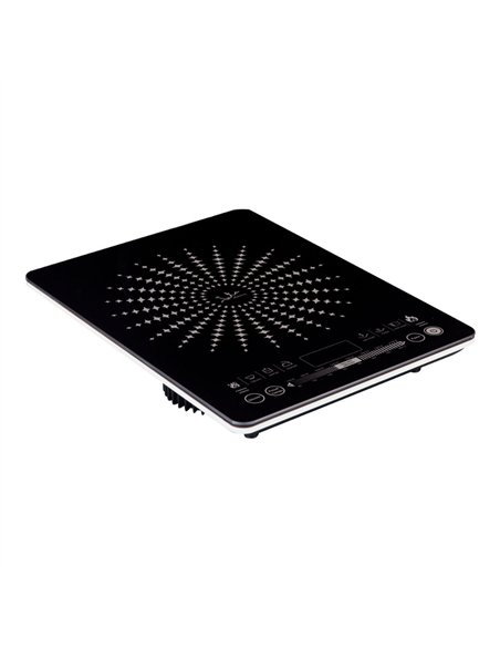 Placa de inducción 2100 w