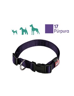 ARPPE COLLAR NYLON BASIC REGULABLE PUR 30-44CM X 2.5 2240014517