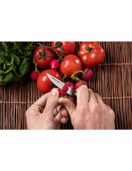 Coltello da cucina serie Universal da 75 mm