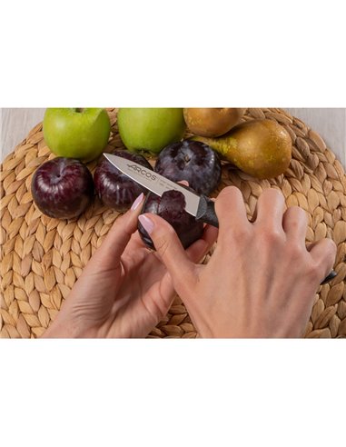 Coltello da cucina serie Nova da 85 mm